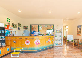 Holiday Complex With Pool in Andora 3