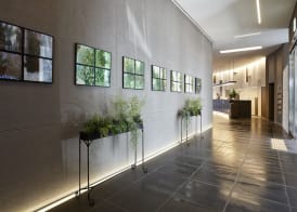 Nine Tree by Parnas Seoul Myeongdong 2 4