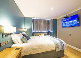 Dolphin Rooms 4