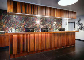 Hotel Cult Frankfurt City 3