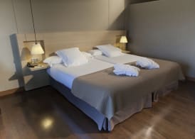 Hotel Spa Attica21 Vilalba 3
