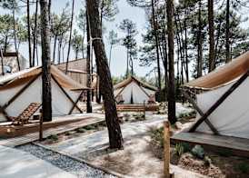 Bukubaki Eco Surf 5