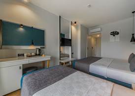 Tema 242 Hotel 2