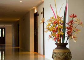 ASTROCOCO beach resort by Coconut Beach 2