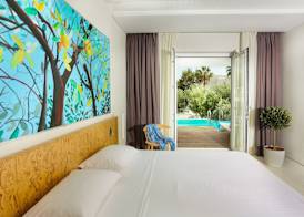 Mykonos Dove Beachfront Hotel 5