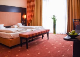 Hotel ESPERANTO Kongress- und Kulturzentrum Fulda 4