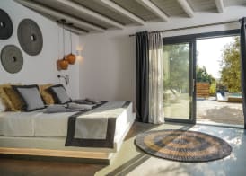 Ikies of Mykonos 4