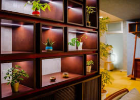 oile by Zayra Resorts 4