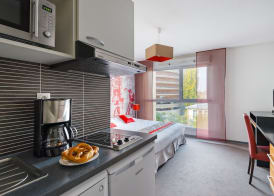 Lagrange Apart’Hotel Strasbourg Wilson 4