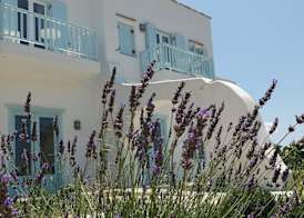 Orion Naxos Hotel 2