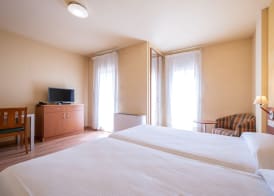 Hotel La Perla D'Olot 3