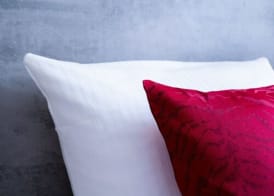 Landhotel Fettehenne 5