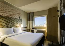 Ibis Americana 4