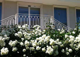 Olympus Resort 5