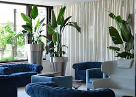 Oxygen Lifestyle Hotel 4