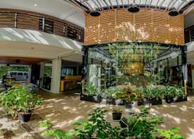 Peace Land Khaosan 3