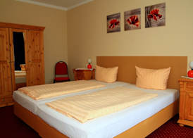 Carea Harz Hotel Allrode 3