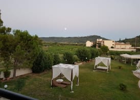 Eleni's Garden & Castello Suites 3