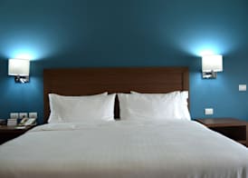 Holiday Inn GUADALAJARA EXPO by IHG 3