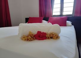 Roche Kerlan Apartments 3