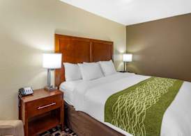Comfort Inn & Suites North Aurora - Naperville 4