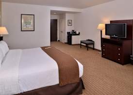 Holiday Inn MADISON AT THE AMERICAN CENTER by IHG 3