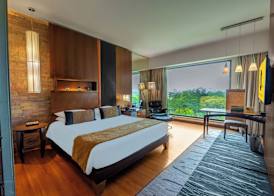 O Hotel Pune 3