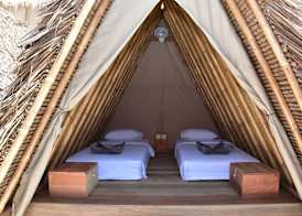 Mad Monkey Gili Trawangan 5