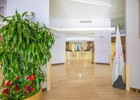 Hotel Servigroup Castilla 2