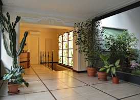 Pràti Home 3
