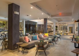 Catalonia Royal La Romana Adults Only - All Inclusive 3