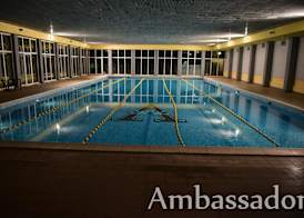 Ambassador 3