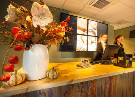 Best Western Zaan Inn, Amsterdam - Zaandam 2