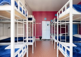 Purple Nest Hostel 3