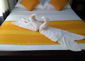 AMRON RESORT SIGIRIYA 3