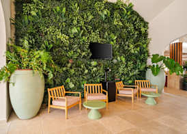 Sonesta Hotels & Resorts Livingstone Curacao 4