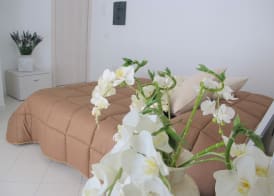 Guest House Suite 3