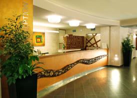 Hotel Monte Rosa 4