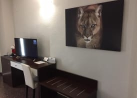 Hotel Fontana Plaza 3