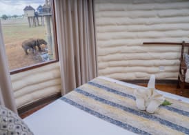 Salt Lick Safari Lodge 4