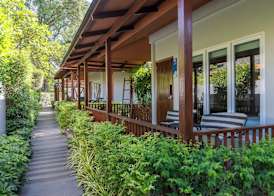 Synergy Samui 5