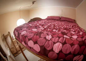B&B Diana 5