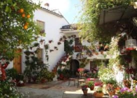 Mirador de Montoro 4
