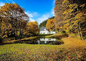 Gasthof Braun 2