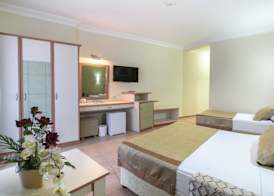 Blue Star Hotel 4