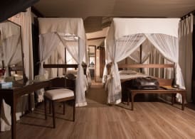 Fig Tree Camp 5