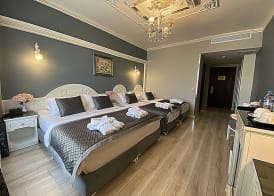 Gülhanepark Hotel & Spa 4