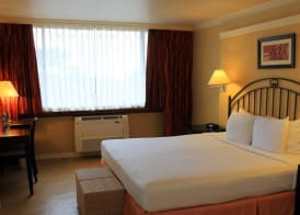 Kapok Hotel 3