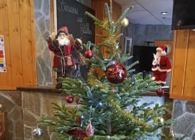 Hôtel Les Sittelles La Plagne Montalbert 3