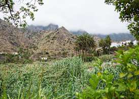 Finca Piñero 3